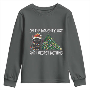 Funny Cat Christmas Youth Sweatshirt On The Naughty List And I Regret Nothing TS14 Dark Heather Print Your Wear