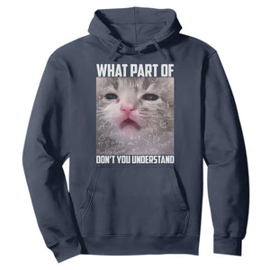 Funny Math Cat Lover Hoodie What Part Of Do Not You Understand TS14 Navy Print Your Wear