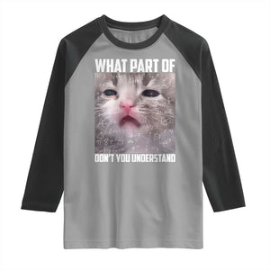 Funny Math Cat Lover Raglan Shirt What Part Of Do Not You Understand TS14 Sport Gray Black Print Your Wear