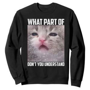 Funny Math Cat Lover Sweatshirt What Part Of Do Not You Understand TS14 Black Print Your Wear