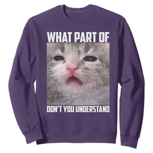 Funny Math Cat Lover Sweatshirt What Part Of Do Not You Understand TS14 Purple Print Your Wear