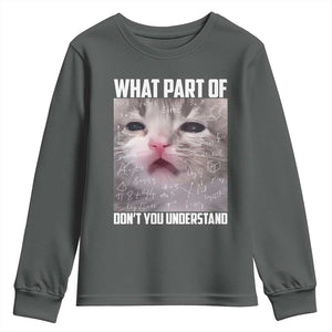 Funny Math Cat Lover Youth Sweatshirt What Part Of Do Not You Understand TS14 Dark Heather Print Your Wear