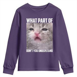 Funny Math Cat Lover Youth Sweatshirt What Part Of Do Not You Understand TS14 Purple Print Your Wear