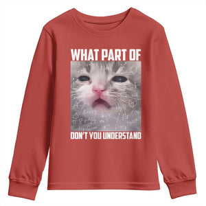 Funny Math Cat Lover Youth Sweatshirt What Part Of Do Not You Understand TS14 Red Print Your Wear