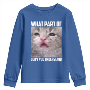 Funny Math Cat Lover Youth Sweatshirt What Part Of Do Not You Understand TS14 Royal Blue Print Your Wear