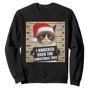 Funny Cat Mugshot Christmas Sweatshirt I Will Protect You Kitten No Matter What TS14 Black Print Your Wear