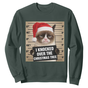 Funny Cat Mugshot Christmas Sweatshirt I Will Protect You Kitten No Matter What TS14 Dark Forest Green Print Your Wear