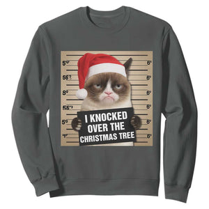 Funny Cat Mugshot Christmas Sweatshirt I Will Protect You Kitten No Matter What TS14 Dark Heather Print Your Wear