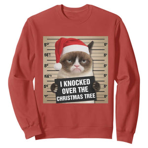 Funny Cat Mugshot Christmas Sweatshirt I Will Protect You Kitten No Matter What TS14 Red Print Your Wear