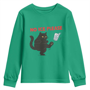 No Ice Please Youth Sweatshirt Funny Black Cat Abolish ICE Meme Protest TS14 Irish Green Print Your Wear