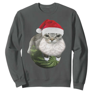 Watermelon Cat Christmas Sweatshirt Funny Silly Kitten Meme TS14 Dark Heather Print Your Wear