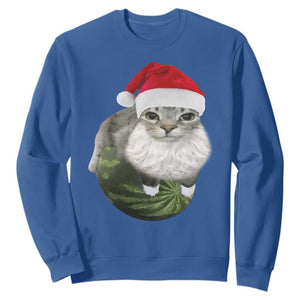 Watermelon Cat Christmas Sweatshirt Funny Silly Kitten Meme TS14 Royal Blue Print Your Wear