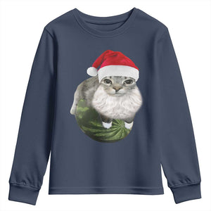 Watermelon Cat Christmas Youth Sweatshirt Funny Silly Kitten Meme TS14 Navy Print Your Wear