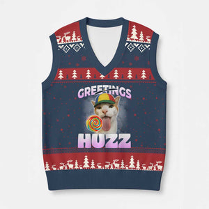 Funny Cat Meme V-Neck Knit Sweater Vest Greetings Huzz TS14 Navy Red Print Your Wear