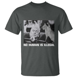 No Human Is Illegal T Shirt Funny Cat Anti ICE Meme TS14 Dark Heather Print Your Wear