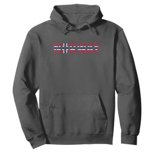 Norge Norway Norwegian Flag Hoodie