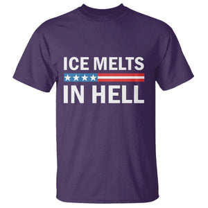 Ice Melts In Hell T Shirt Activist Statement Quote TS14 Purple Print Your Wear