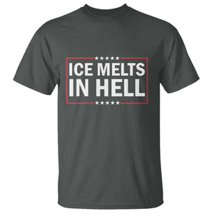 Ice Melts In Hell T Shirt Immigrant Rights Activist Statement Protest Quote TS14 Dark Heather Print Your Wear