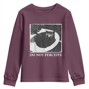 Do Not Perceive Me Funny Meme Cat Lover Youth Sweatshirt Funny Cat Sarcstic Meme