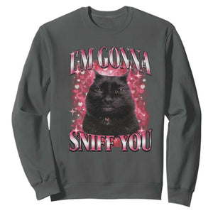 I'm Gonna Sniff You Sweatshirt Funny Black Cat Meme TS14 Dark Heather Print Your Wear