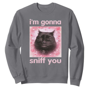 I'm Gonna Sniff You Sweatshirt Funny Black Cat Brainrot Meme TS14 Charcoal Print Your Wear
