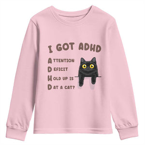 I Got ADHD is that A Cat Youth Sweatshirt Funny Cat Lover TS14 Light Pink Print Your Wear