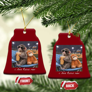 Funny Punch Monkey Baseball Ceramic Ornament I Live Here Now Ballpark Graphic TS14 Print Your Wear