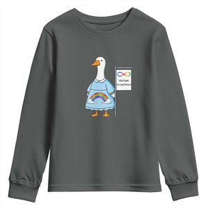 Autism Acceptance Youth Sweatshirt Neurodivergent Awareness Silly Goose Support TS14 Dark Heather Print Your Wear