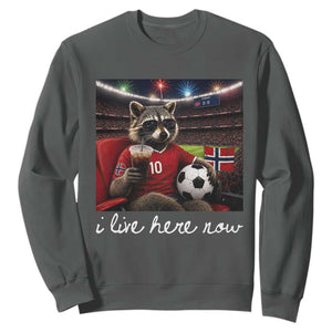 Norway Soccer Football Fan Norge Norwegian Flag Sweatshirt Funny Raccoon Drinking Iced Coffee TS14 Dark Heather Print Your Wear