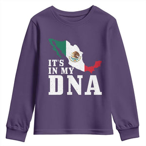 It's in My DNA Mexican Proud Hispanic Gift Mexico Flag Youth Sweatshirt TS14 Purple Print Your Wear