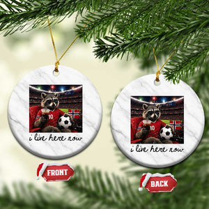 Norway Soccer Football Fan Norge Norwegian Flag Ceramic Ornament Funny Raccoon I Live Here Now TS14 1pc White Marble Print Your Wear