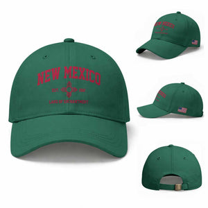Vintage New Mexico Flag Zia Sun Souvenir Baseball Cap TS14 Baseball Cap Universal Fit Irish Green Print Your Wear