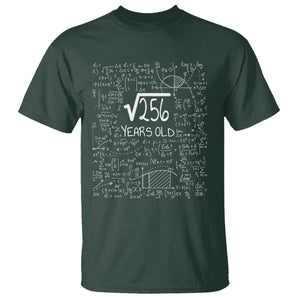16th Birthday Math T Shirt Square Root of 256 Funny Math Nerd 16 Year Old Gift