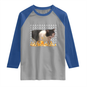 Screaming Cat Meme Raglan Shirt Funny Internet Gen Z Cat Lover TS14 Sport Gray Royal Print Your Wear