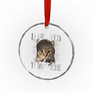 Tummy Ache Survivor Cat Meme Crystal Glass Ornament Funny Saying Cats Cat Bootleg TS10 Print Your Wear