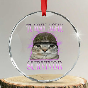 Tummy Ache Survivor Cat Meme Crystal Glass Ornament Funny Trending Oddly Specific Brainrot Memes TS10 Transparent Glass 3'' Circle Print Your Wear