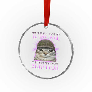 Tummy Ache Survivor Cat Meme Crystal Glass Ornament Funny Trending Oddly Specific Brainrot Memes TS10 Print Your Wear