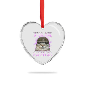 Tummy Ache Survivor Cat Meme Heart Crystal Glass Ornament Funny Trending Oddly Specific Brainrot Memes TS10 Print Your Wear