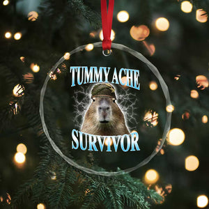 Tummy Ache Survivor Crystal Glass Ornament Funny Capybara Meme For Animal Lover TS12 Print Your Wear