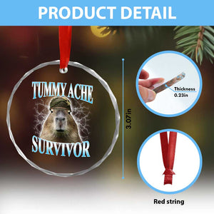 Tummy Ache Survivor Crystal Glass Ornament Funny Capybara Meme For Animal Lover TS12 Print Your Wear