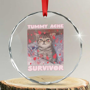 Tummy Ache Survivor Crystal Glass Ornament Funny Cute Cat Meme TS14 Transparent Glass 3'' Circle Print Your Wear