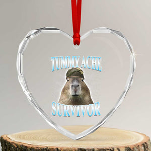 Tummy Ache Survivor Heart Crystal Glass Ornament Funny Capybara Meme For Animal Lover TS12 Transparent Glass 3'' Heart Print Your Wear
