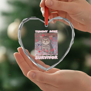 Tummy Ache Survivor Heart Crystal Glass Ornament Funny Cute Cat Meme TS14 Print Your Wear