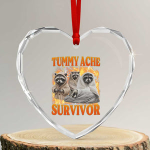 Tummy Ache Survivor Raccoon Meme Heart Crystal Glass Ornament TS10 Transparent Glass 3'' Heart Print Your Wear