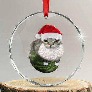 Watermelon Cat Christmas Crystal Glass Ornament Funny Silly Kitten Meme TS14 Transparent Glass 3'' Circle Print Your Wear