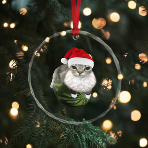 Watermelon Cat Christmas Crystal Glass Ornament Funny Silly Kitten Meme TS14 Print Your Wear