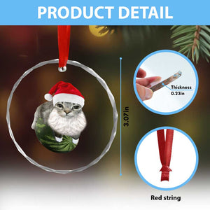 Watermelon Cat Christmas Crystal Glass Ornament Funny Silly Kitten Meme TS14 Print Your Wear