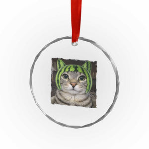 Watermelon Cat Silly Cat Meme Crystal Glass Ornament TS10 Print Your Wear