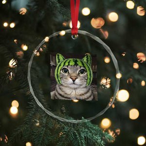 Watermelon Cat Silly Cat Meme Crystal Glass Ornament TS10 Print Your Wear