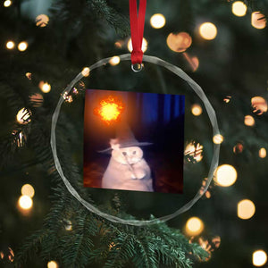 Wizard Cat Crystal Glass Ornament Weird Funny Retro Halloween Orange Cat Meme TS10 Print Your Wear